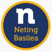 Logo de Neting Basilea
